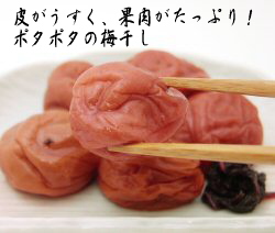 梅光園太古のええ塩梅