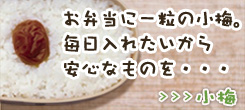 お弁当用に　小梅