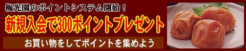 梅光園新規入会で300ポイントプレゼント