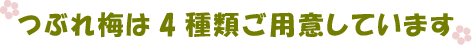 お得なつぶれ梅