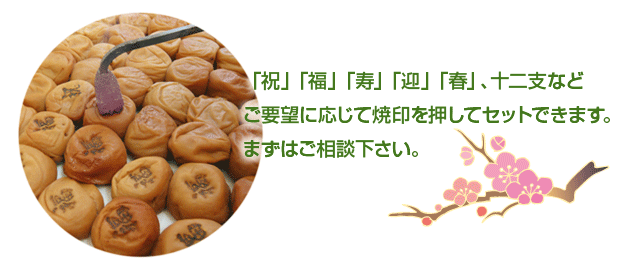 和歌山の梅干し